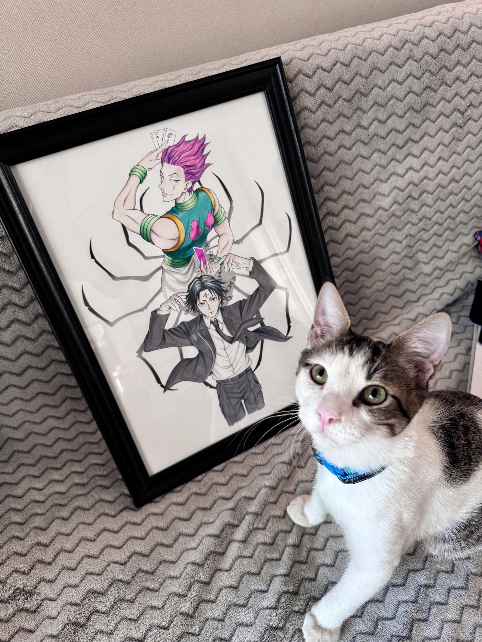 Framed illustration of Hisoka and Chrollo from Hunter x Hunter next to a cat